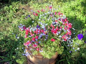 Similar image 21806386