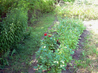 Similar image 21806387