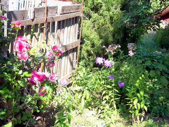 Similar image 21806390