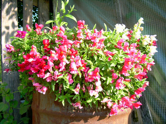 Similar image 21806391