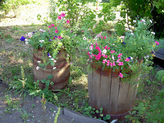 Similar image 21806392