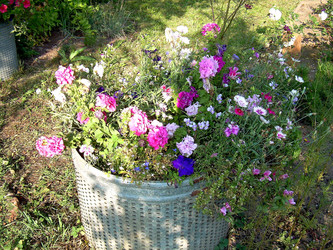 Similar image 21806393