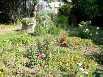 Similar image 21806394