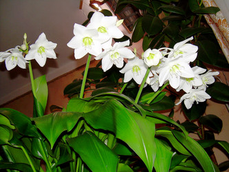 Similar image 21805957