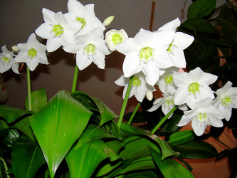 Similar image 21805958