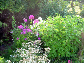 Similar image 21805959