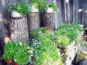 Similar image 21805960