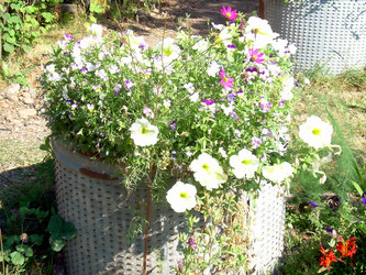 Similar image 21805961