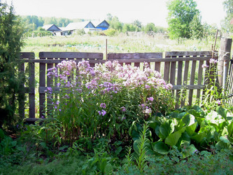 Similar image 21805962