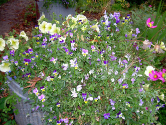 Similar image 21805964