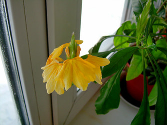 Similar image 21805965