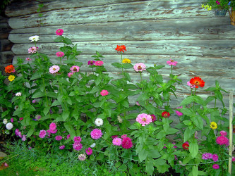 Similar image 21805966