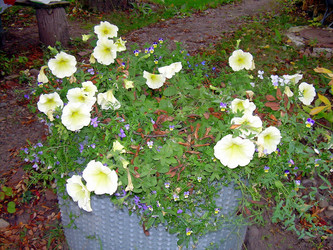 Similar image 21805967