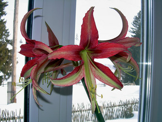 Similar image 21805968