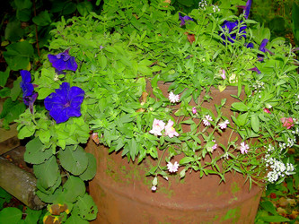 Similar image 21805969