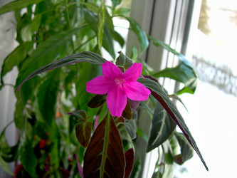 Similar image 21805970