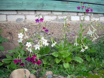 Similar image 21805976