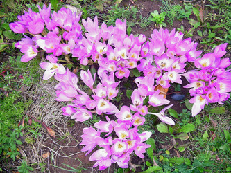 Similar image 21805980