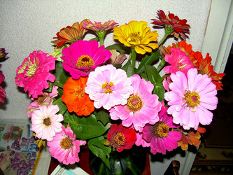 Similar image 21805981