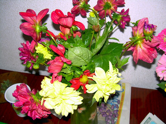 Similar image 21805982