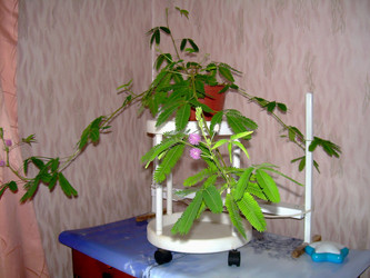 Similar image 21805985