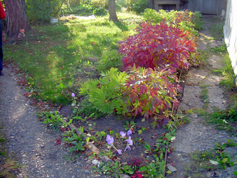 Similar image 21805987