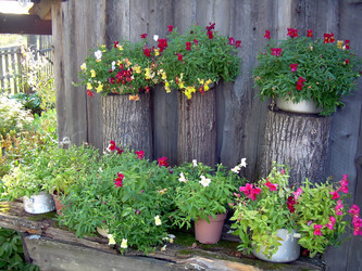 Similar image 21805988