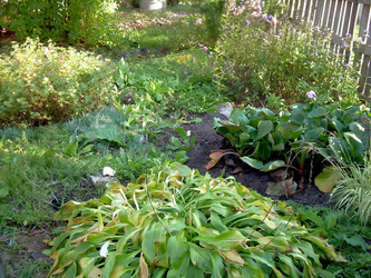 Similar image 21805989