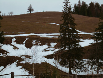 Similar image 21805991