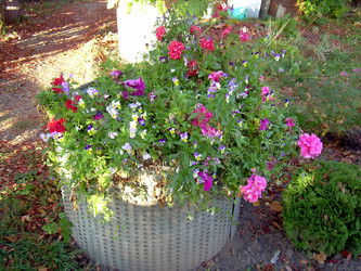 Similar image 21805992