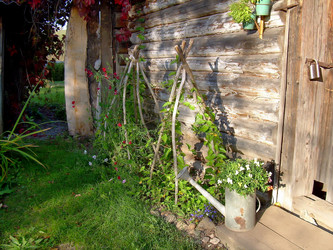 Similar image 21805993