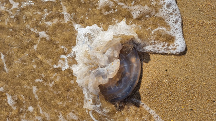 Similar image 21805577