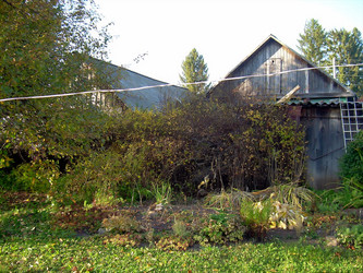 Similar image 21805996