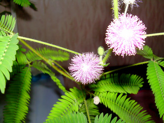 Similar image 21805999