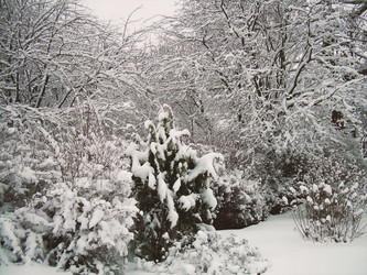 Similar image 21806002