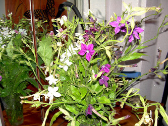 Similar image 21806003