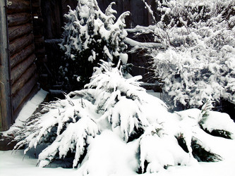 Similar image 21806004