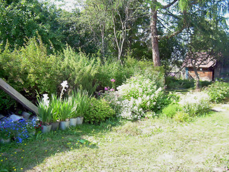 Similar image 21806010