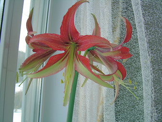 Similar image 21806016