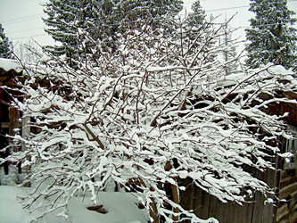 Similar image 21806018