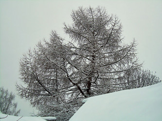 Similar image 21806020