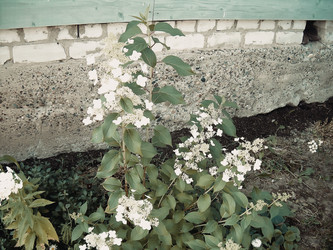 Similar image 21806021