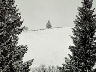 Similar image 21806022