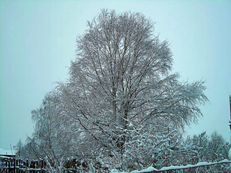 Similar image 21806024