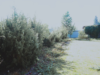 Similar image 21806028