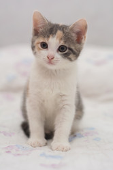 Similar image 21807159