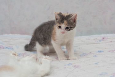 Similar image 21807167