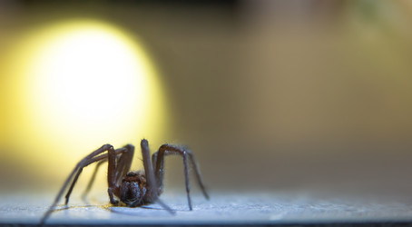 Similar image 21807176