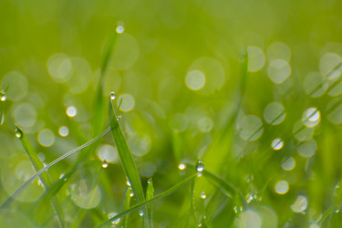 Similar image 21807178