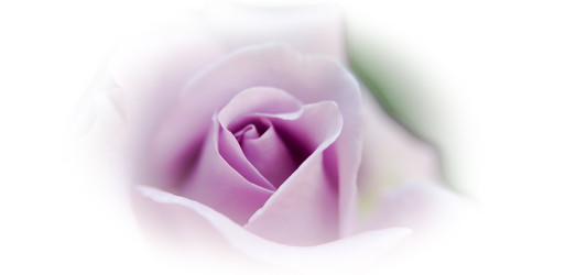 Similar image 21807185